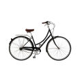 Hi-Ten Steel Lady City Bike (ZL-CT-090L)